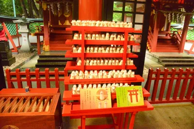 DSC_3207 (Large).JPG